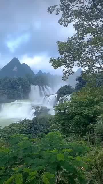 骑马与砍杀